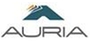 Auria Solutions GmbH