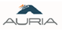 Auria Solutions GmbH