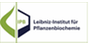 Das Logo von Leibniz-Institut für Pflanzenbiochemie (IPB)