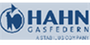 HAHN Gasfedern GmbH